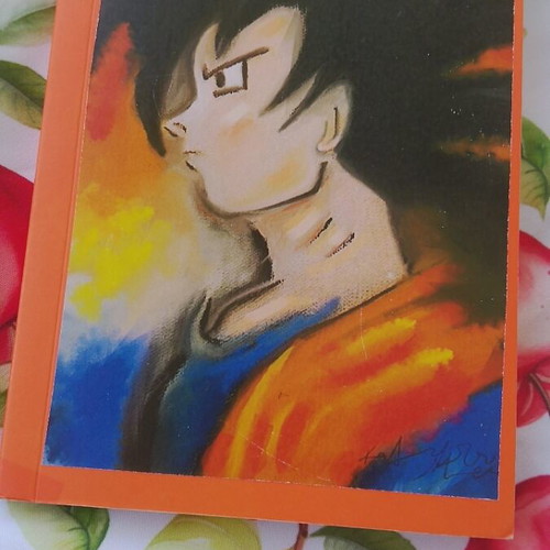 Goku Notebook new 10x14cm