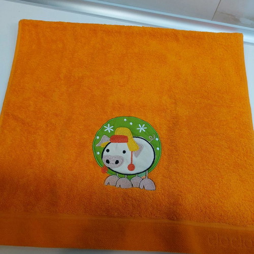 Clotsotiiras children's face towel new