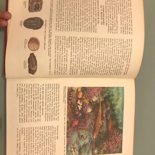 The World of Plants and Animals Volume 1 like new, Biology - Zoology