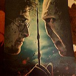  Συλλεκτικη Αφισα Harry Potter Vs Lord Voldemort