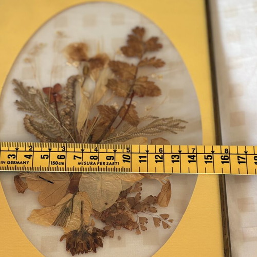 Vintage framed dried flower art