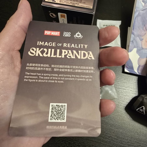 Pop Mart Skullpanda The Timelapse figure N8/12
