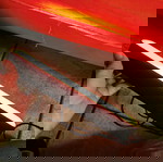  φωτακι