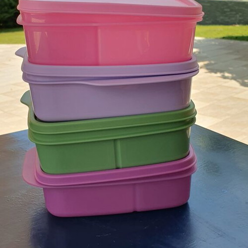 Tupperware children's divided lunch box, assorted colors