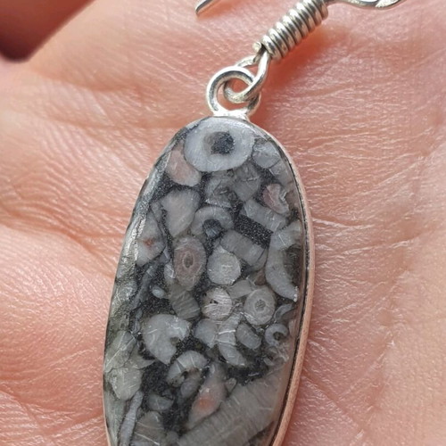 Fossil Crinoid Earrings silver plated 925, new