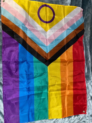 LGBTQ+ flag new, big size