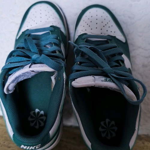 Nike Dunk Low Next Nature Bicoastal sneakers used, size 38