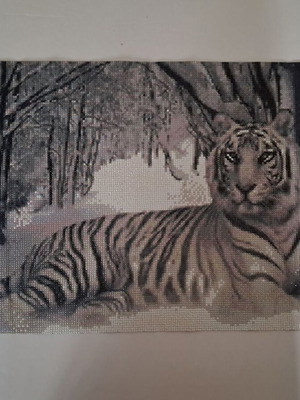 Diamond Art White Tiger on Snow Canvas