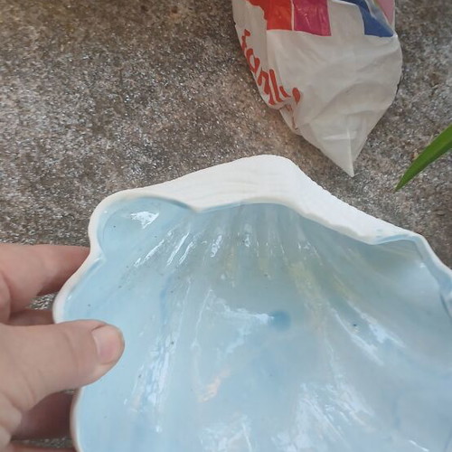 Ceramic decorative shell new
