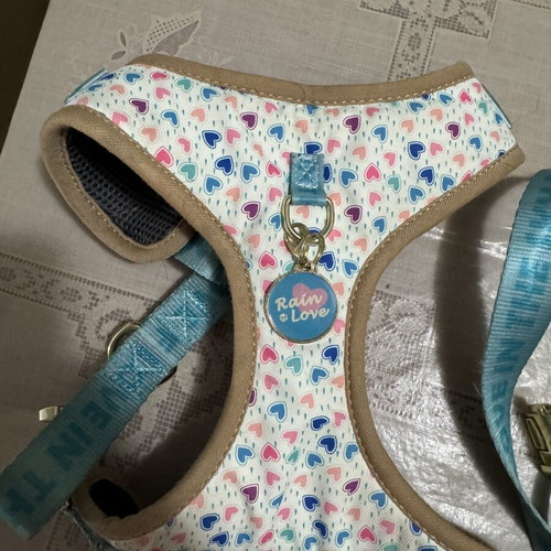 Dog harness like new, medium size with colorful hearts and blue straps