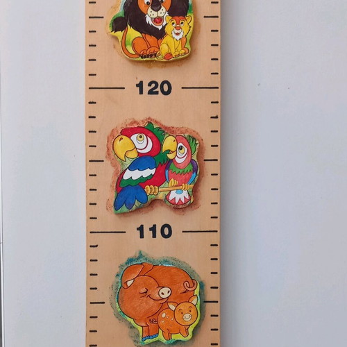 Wooden wall height chart used, natural wood