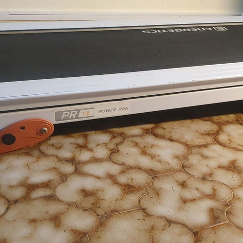 Energetics treadmill