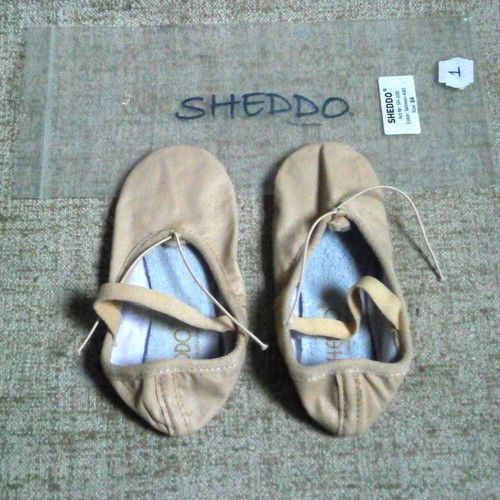 Soft Leather Ballet Shoe SHEDDO Size 34 New Pink