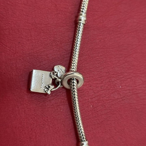 Pandora charm shopping bag silver