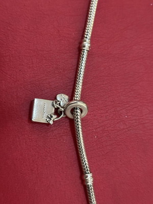 Pandora charm shopping bag silver
