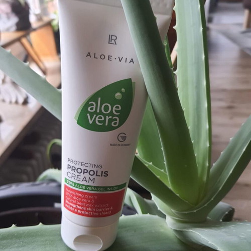 Aloe Vera Fermented Protecting Cream with Propolis new