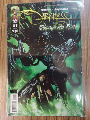 Darkness Shadows and Flame comic used