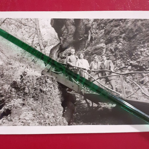 Pack of two old excursion photos