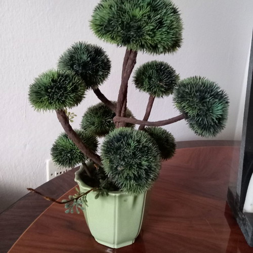 Decorative bonsai-style potted plant used, 36 cm