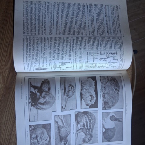 Eleftheroudakis Encyclopedic Dictionary set of 12 volumes, like new, Greek