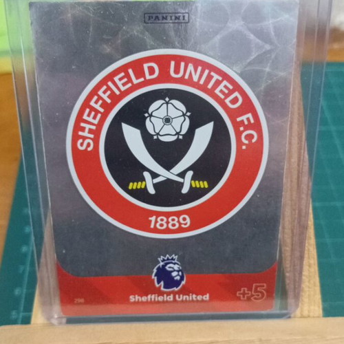 Panini Adrenalyn XL Premier League 2024 card like new, Sheffield United #298
