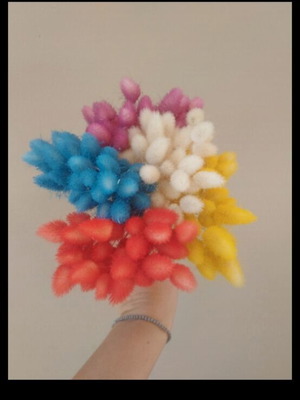 Bunny tails bouquet in various colors