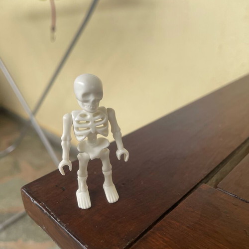 Playmobile skeleton like new