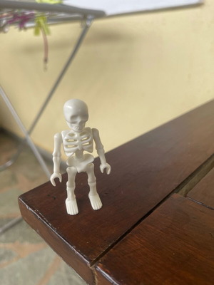Playmobile skeleton like new