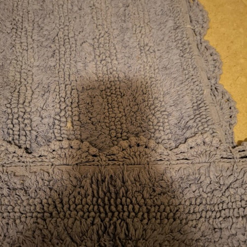 Kentia bathroom mats used