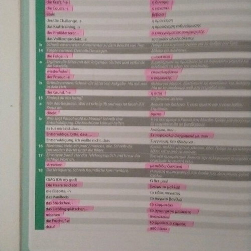 Maximal A2 Begleitheft German learning book like new