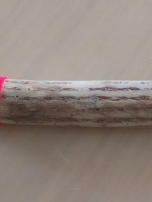 Rainstick from Chile 25 cm, like new, wooden percussion instrument
