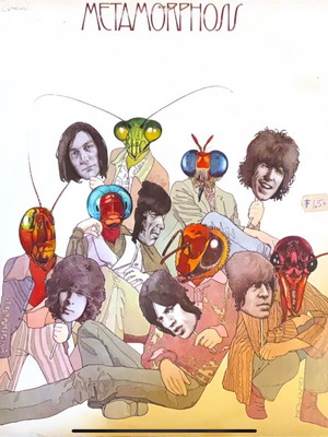 Rolling Stone Metamorphosis LP used, rock
