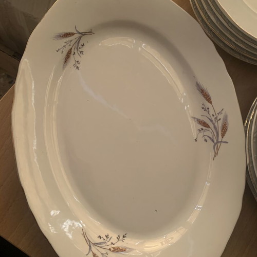 Floral vintage dish set used, includes 10 plates, 1 large platter, 2 small platters