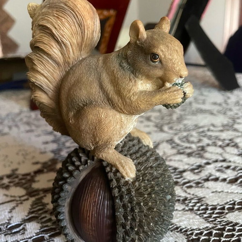 Decorative squirrel like new