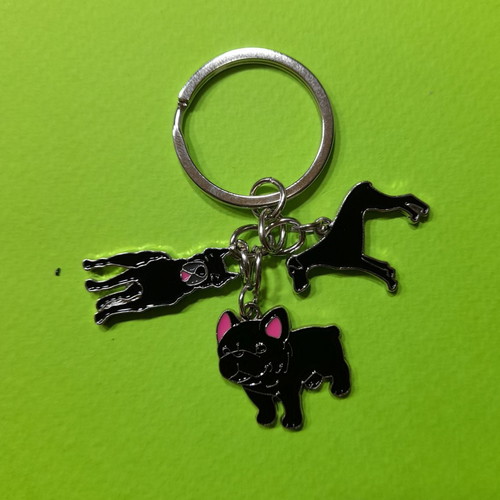 Keychain three dogs new