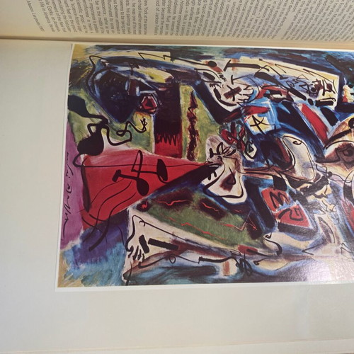 Behind Appearance hardcover book like new, English