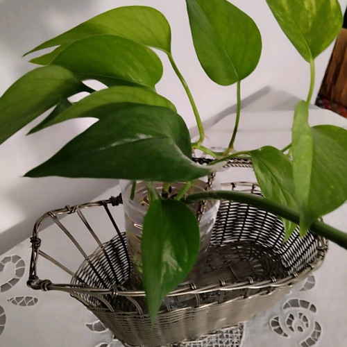 Handmade vintage antique wire basket like new