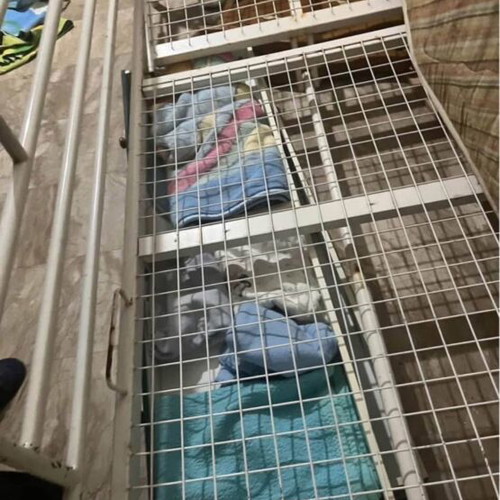 Bed used
