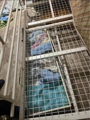 Bed used