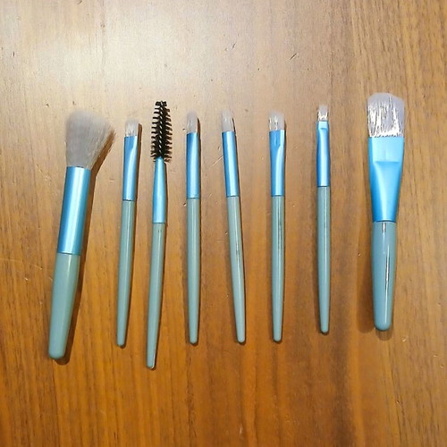 Makeup brush set new 8 pcs with carrying case