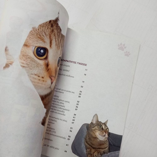 Book Ego kai i Gata mou used