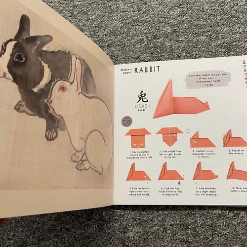 Origami, Poems and Pictures book new, English