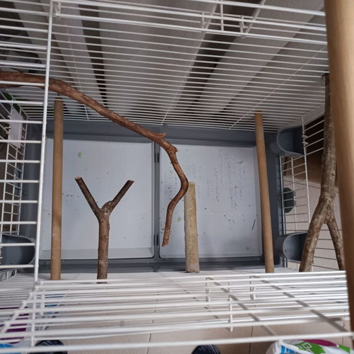 Parrot Cage like new, top opening, sturdy iron construction