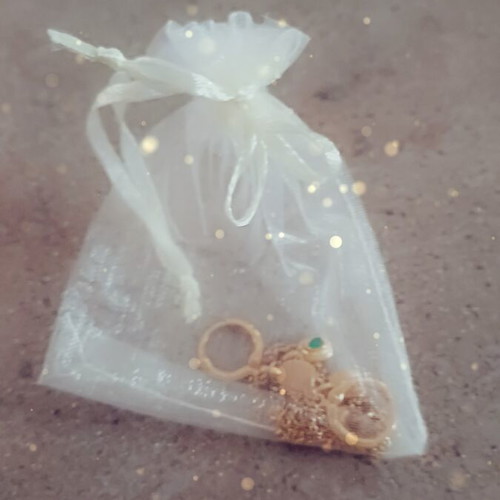 Bijou set earrings and necklace new