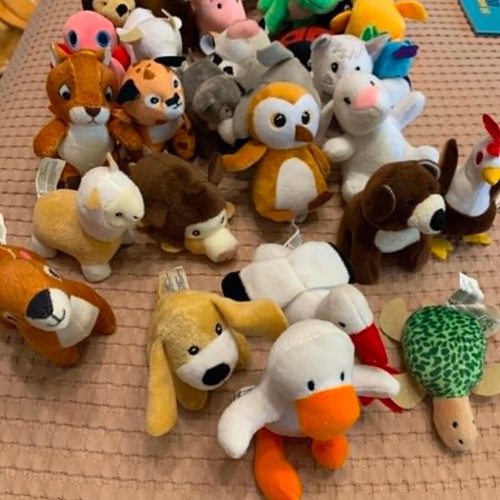 Zoakia Pareakia Collection 32 Books and 32 Plush Toys like new
