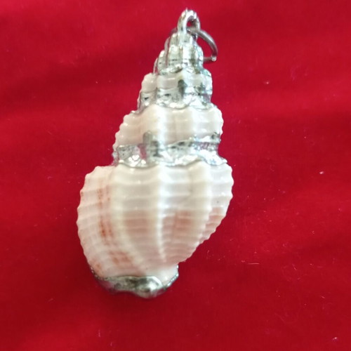 Pendant natural seashell like new, beige and silver finish