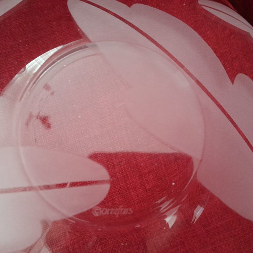 Orrefors Sweden Crystal Bowl Frosted Leaf Discontinued, new