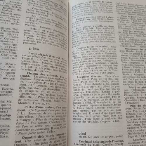 Larousse Dictionnaire Analogique and Thésaurus French dictionaries used