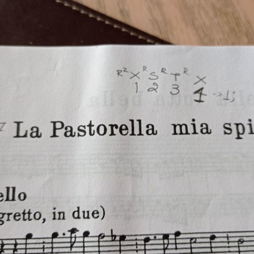 Sheet music and song photocopies used, notes and lyrics