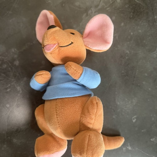 Rou Winnie the Pooh plush toy